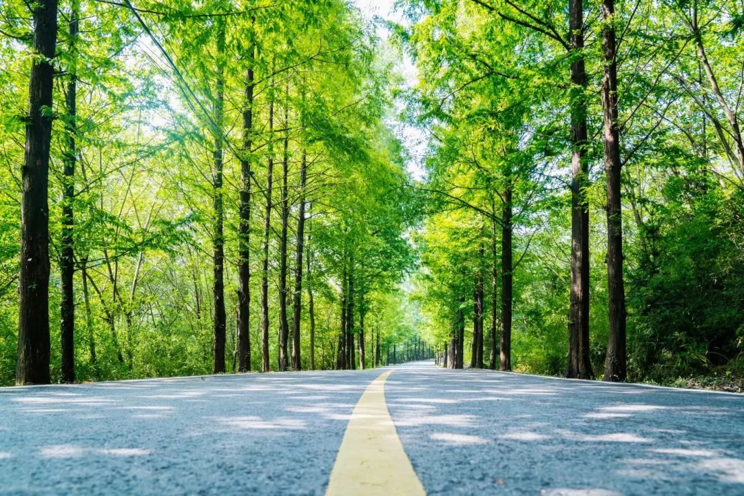 绿色基础设施的什么也是绿色基础设施的一大特点绿色基础设施 第2张 绿色基础设施的什么也是绿色基础设施的一大特点绿色基础设施 第2张