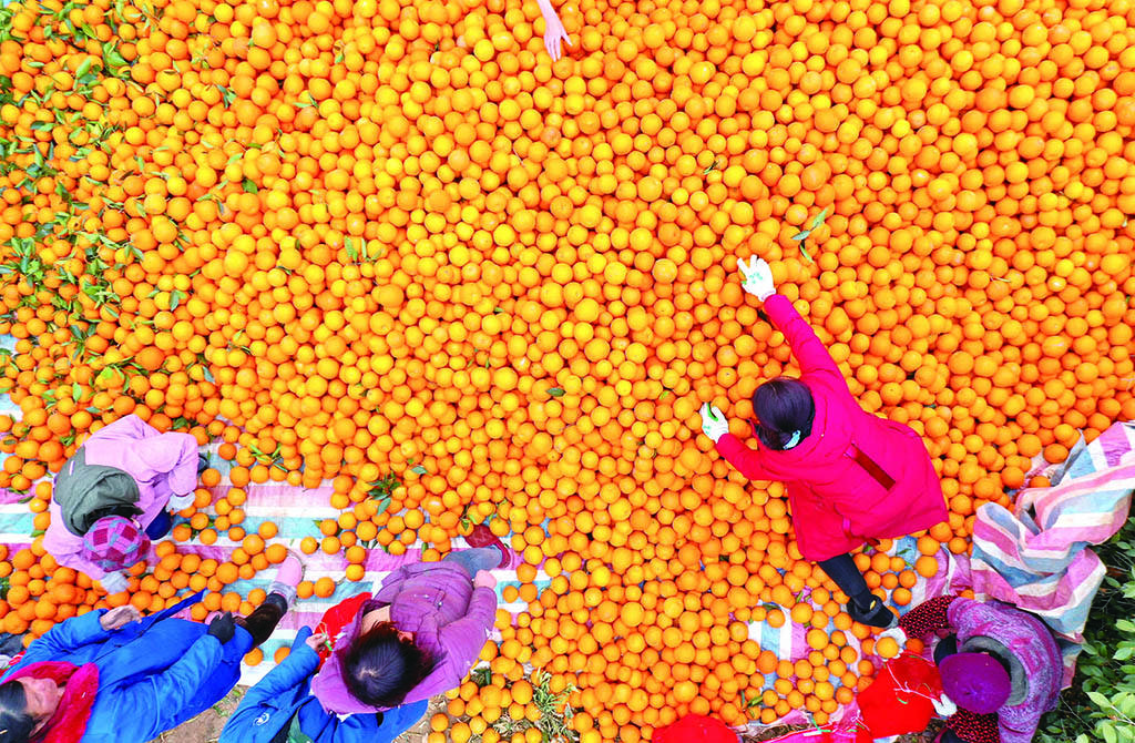 关于湖南betway西汉姆app下载
证书领取的信息 第1张 关于湖南betway西汉姆app下载
证书领取的信息 第1张