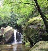 蝴蝶谷成人论坛,蝴蝶谷投资管理有限公司 第1张 蝴蝶谷成人论坛,蝴蝶谷投资管理有限公司 第1张