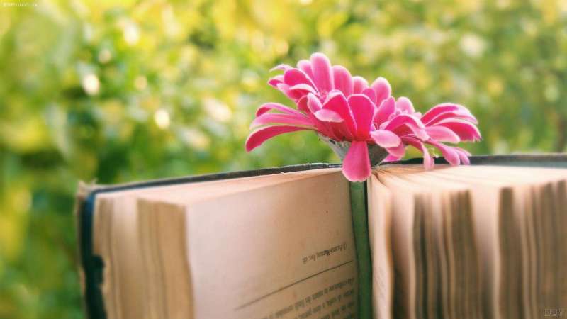 京华网校注册安全工程师怎么样,京华网校注册安全工程师 第2张 京华网校注册安全工程师怎么样,京华网校注册安全工程师 第2张