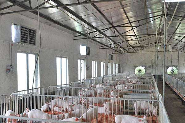 楼房养猪场设计,养猪场设计 第2张 楼房养猪场设计,养猪场设计 第2张