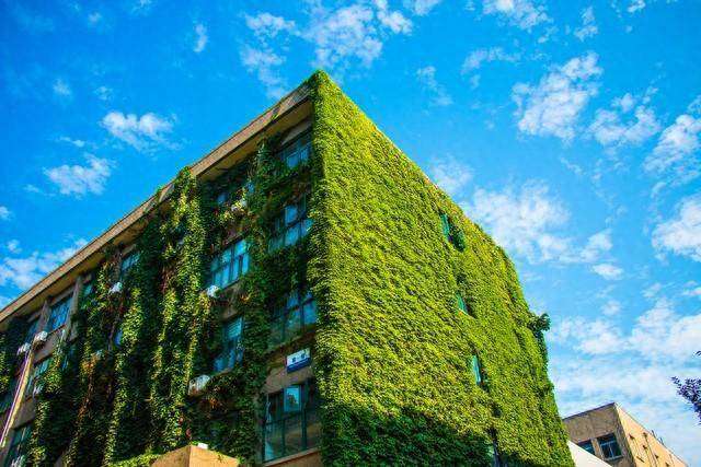 bim工程师证书有用吗能挂号不,bim工程师证书有用吗能挂号不去吗 第1张 bim工程师证书有用吗能挂号不,bim工程师证书有用吗能挂号不去吗 第1张