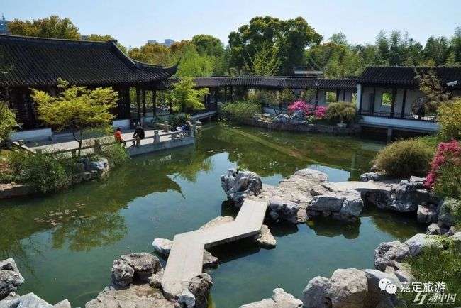 网易园林论坛网址网易园林论坛 第1张 网易园林论坛网址网易园林论坛 第1张