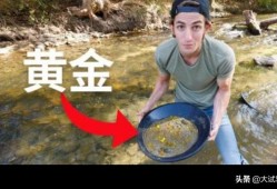 betway西汉姆app下载
的含金量高不高？