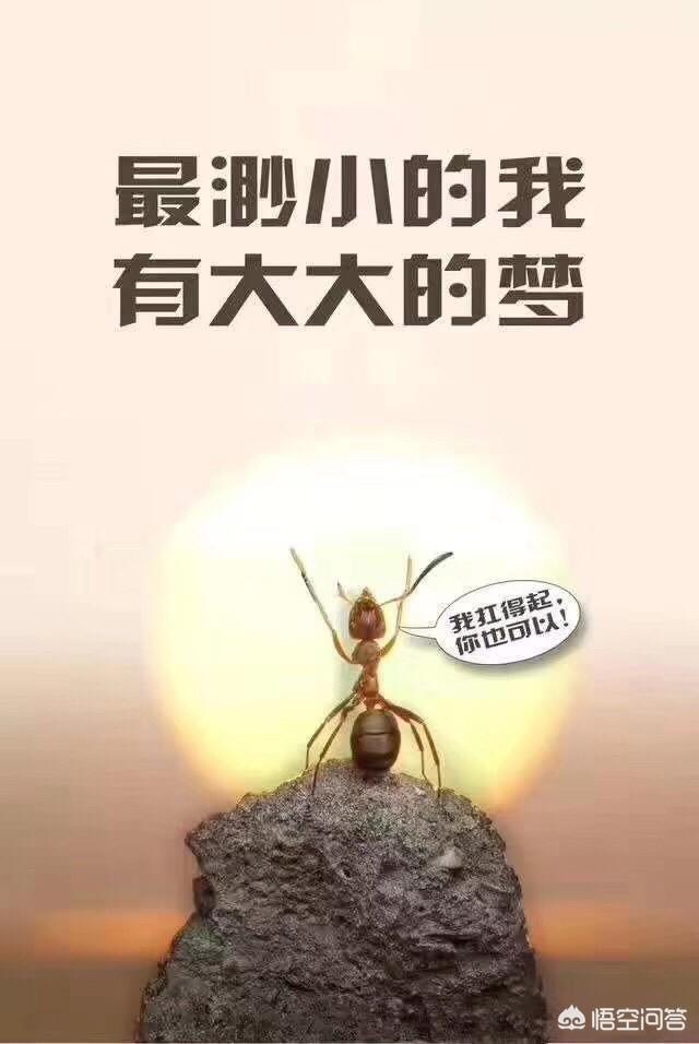 betway西汉姆app下载
就业前景如何？该报考吗？  第1张