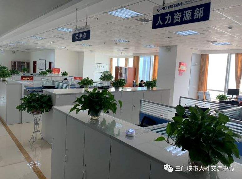 三门峡必威betway官网入口招聘水利,三门峡必威betway官网入口招聘  第2张