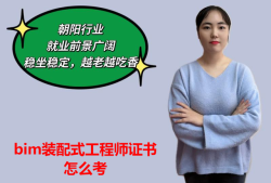 bim工程师证书要求学历吗,bim工程师有没有必要考