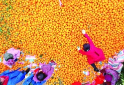 关于湖南betway西汉姆app下载
证书领取的信息