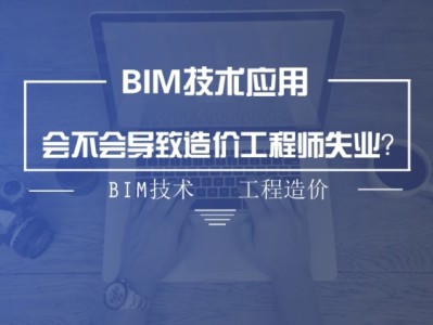 造价工程师考bim哪个类别,造价工程师考bim哪个类别比较好