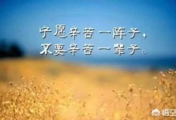 betway西汉姆app下载
就业前景如何？该报考吗？