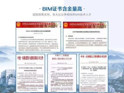 bim工程师等级怎么分级别,bim工程师等级怎么分
