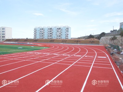 塑胶跑道多少钱一平,塑胶跑道造价