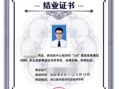 bim工程师去什么单位,bim工程师去什么单位好