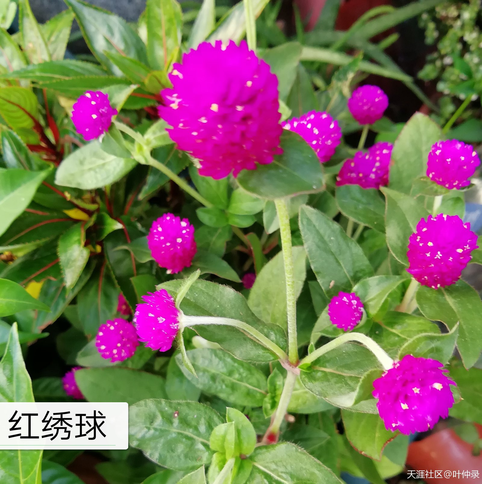 电影《必威betway官网入口
》编剧大纲--由本书作者编写  第10张