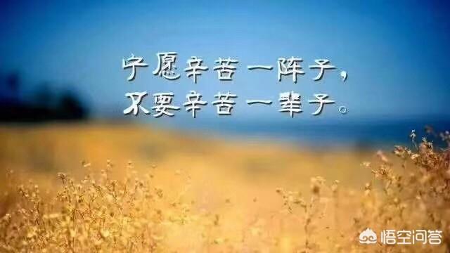betway西汉姆app下载
就业前景如何？该报考吗？  第3张