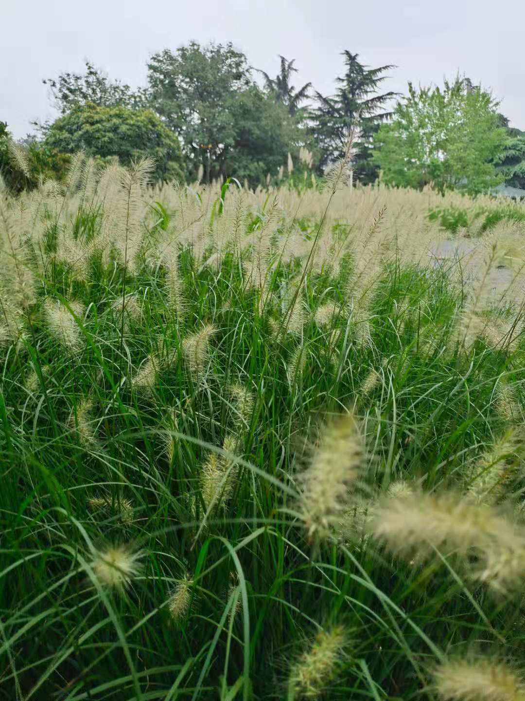 曾德植必威betway官网入口
,必威betway官网入口
报考条件  第2张