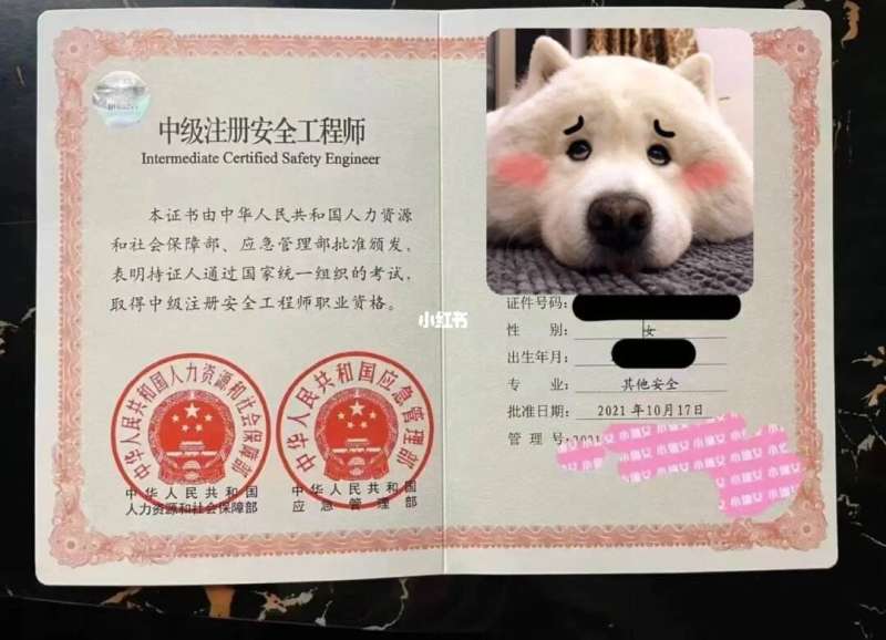 建筑安装工程师面试问题,建筑安全工程师面试题  第1张