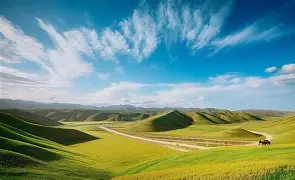 新疆结构工程师证书领取新疆结构工程师证书领取条件  第1张