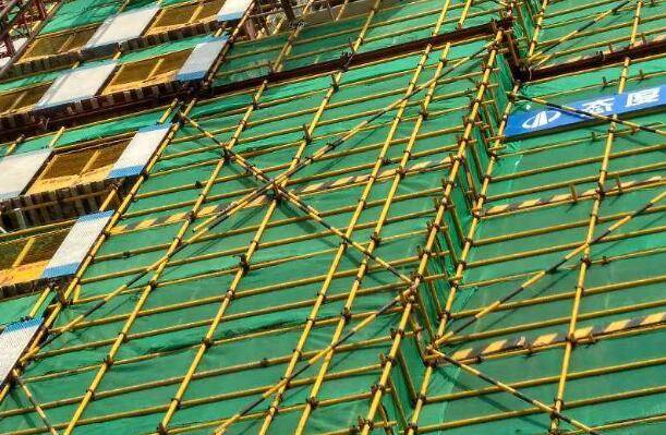 广西betway西汉姆app下载报考条件,广西betway西汉姆app下载报考条件学历要求  第1张