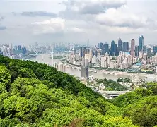 重庆注册安全工程师准考证打印时间重庆2020注册安全工程师考试证书领取时间  第1张