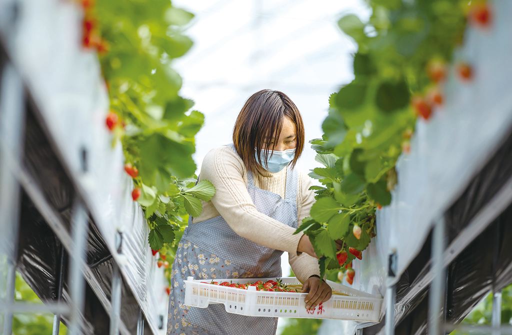 安徽betway西汉姆app下载
证书领取,安徽省2022年betway西汉姆app下载
报考条件  第2张